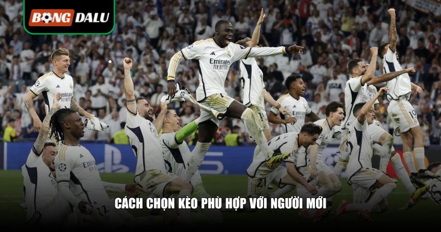 Tổng Hợp Các Loại Kèo Phổ Biến Trong Cá Độ Bóng Đá – Cập Nhật Mới Nhất 4 Cách chọn kèo phù hợp với người mới