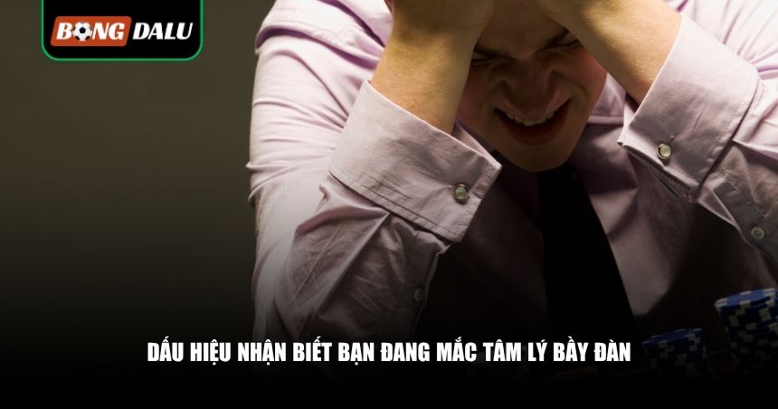 Tránh Tâm Lý Bầy Đàn Khi Cá Cược: Giữ Đầu Lạnh, Thắng Lâu Dài 3 Dấu hiệu nhận biết bạn đang mắc tâm lý bầy đàn
