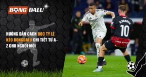 đọc tỷ lệ kèo Bongdalu