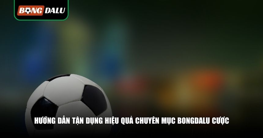 Hướng dẫn tận dụng hiệu quả mẹo cược