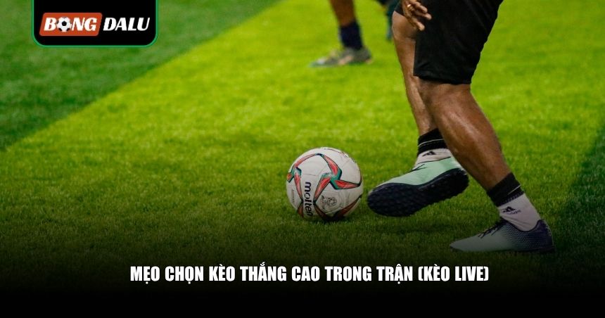 Mẹo Chọn Kèo Thắng Cao: Chiến Lược Giúp Nâng Tỷ Lệ Ăn Tiền 3 Mẹo chọn kèo thắng cao trong trận