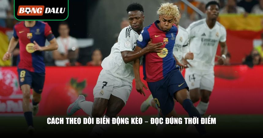 Cách theo dõi biến động kèo